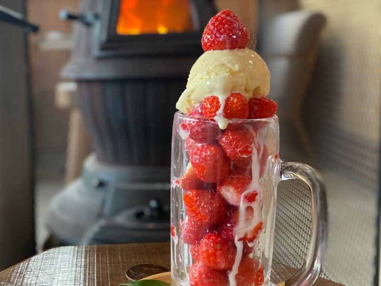 いちごアイス終了のお知らせ│森のレストラン ラッキーガーデン