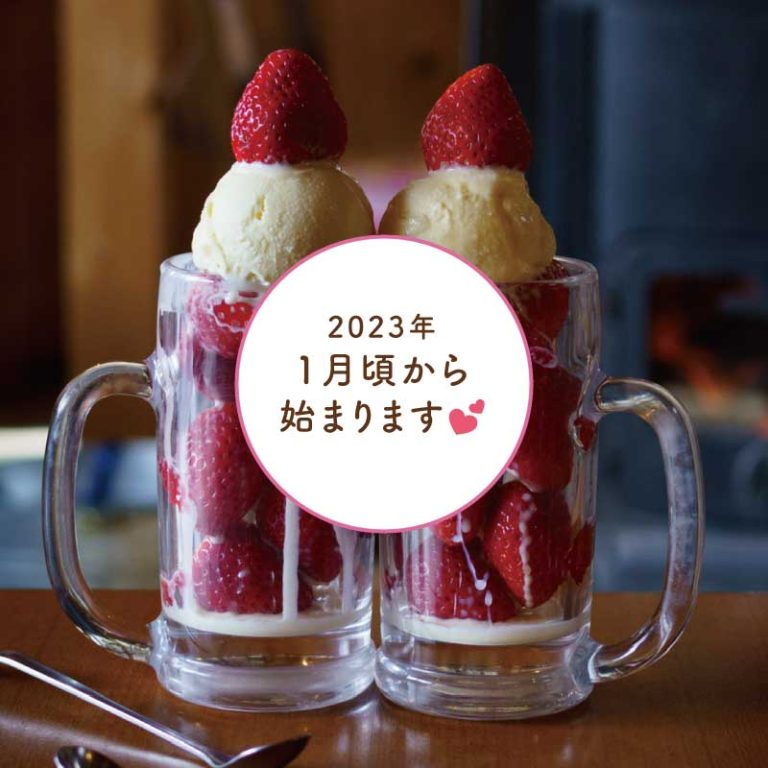 🍓いちごアイスは1月4日からスタートです✨│森のレストラン ラッキー